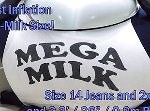 WWM - Mega Milk Giga Inflation