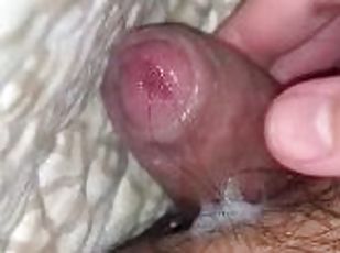 Quick stroke cum shot cute uncut dick