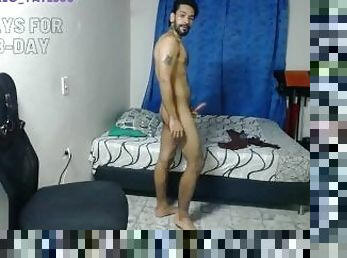 peluda, masturbação, amador, tiro-ao-alvo, pénis-grande, ejaculação, webcam, sozinho, realidade, pénis