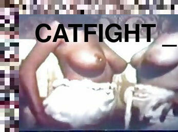 Catfight