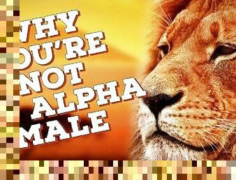 Alpha Male Introduction