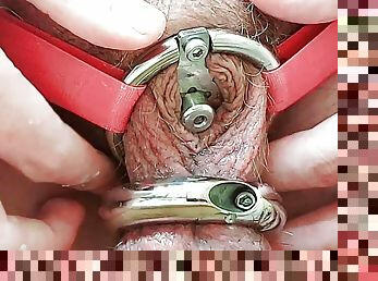 Pissing in an Inverted Chastity Cage Device with urethral sound