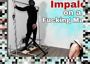 Hard Rough Anal Fucking Machine Pegging Bondage for Slave While I Relax! BDSM Femdom Real Homemade