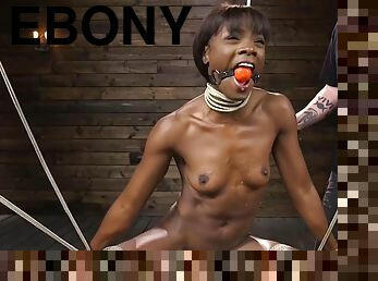Ebony Bound In A Web Of Ropes Gets Whipped