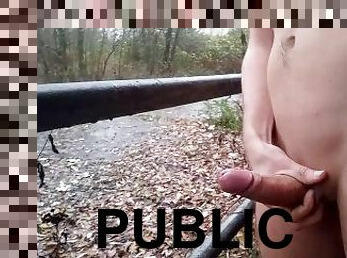 masturbation, publik, cumshot, samling, juckande, sprut