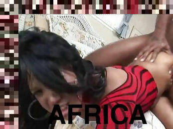 African Black Orgasm - VOL 06