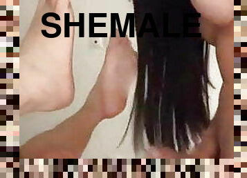 shemale