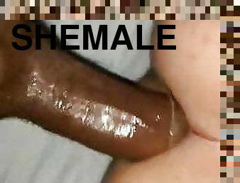 Shemale 295