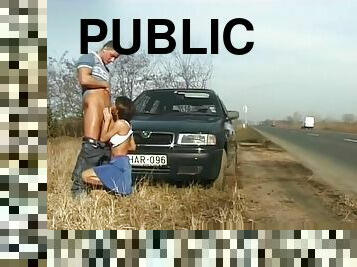 nudyści, publiczne, samochód