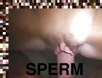 sperma, nasienie