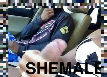 Shemale 469