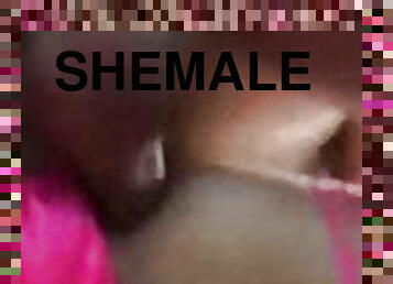 shemale, amatör, anal, gigantisk-kuk, ladyboy, knullande, underkläder