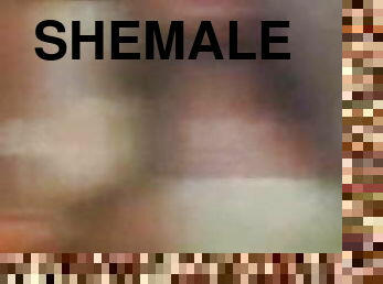 Shemale top