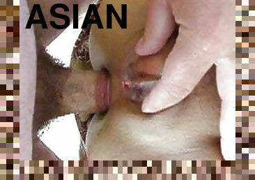 asiatisk, storatuttar, bröstvårtor, amatör, anal, gamling, milf, pov, knullande, kinesisk