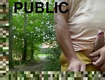 public, amateur, ejaculation-sur-le-corps, gay, ejaculation, attrapée, solo, bite