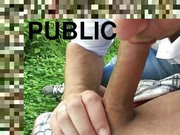 publisks, amatieris, minēts, spermasizšāviens, homoseksuāls, eiropiešu, eiro, holandiešu, parks