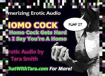 Your Homo Cock Gets Hard When I Call You A Homo Fetish Erotic Audio Mesmerizing Femdom Sissy Train