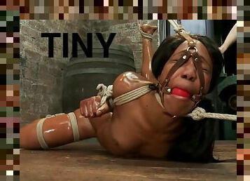 Tiny Nikki Darling Gets Greased Up, Contorted And Pussy Pounded
