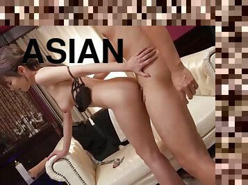 asiatisk, storatuttar, japansk, slyna, smutsig