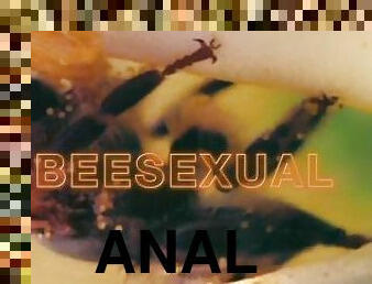 anal