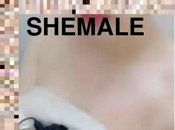 shemale