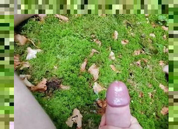 mastubasi, umum, amatir, cumshot-keluarnya-sperma, remaja, perancis, sperma, seorang-diri, hutan, penis