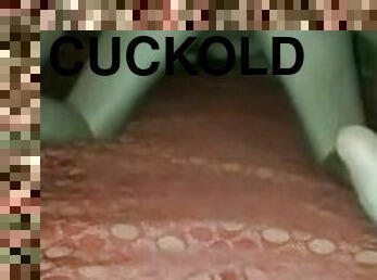 Noche cuckold