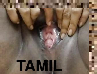 Tamil lekha