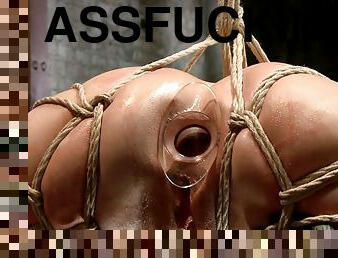 Hogtied slave assfucking toyed and nailed