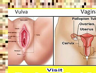 How to Trigger Women's G Spot for Multiple Orgasms