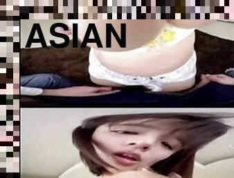 Asian bigtits