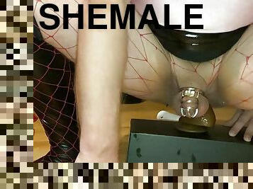 shemale, amatør, anal, leke, bdsm, slave, ung-18, undertøy, riding, dildo