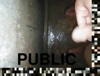 Quick Cum In a Public Comfort Room