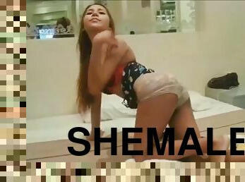 shemale, hardcore, ladyboy, thai, knulling-fucking