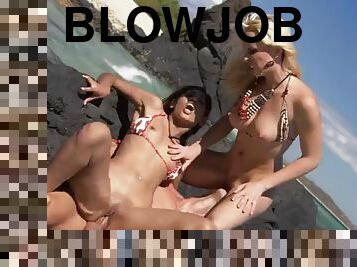 store-pupper, utendørs, babes, blowjob, hardcore, strand, trekant, blond, rumpe-butt, bikini