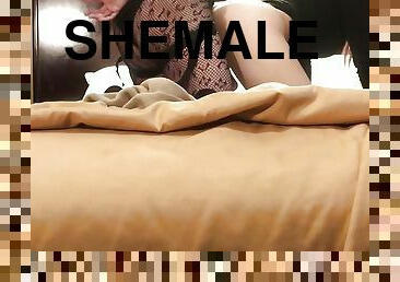 shemale, strapon, amatør, anal, transeksuell, par, ladyboy, knulling-fucking, perfekt, elskerinne