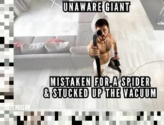 Unaware giant - trapped on spiders web and sucked up the vacuum