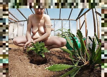 Naked Greenhouse Worker Planting Cacti