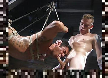 anal, avsugning, gay, avrunkning, bdsm, fetisch, brutal, bondage, twink, tatuering