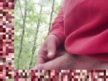 Morning masturbation in Portuguese forest