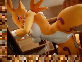 Renamon Getting Pounded Doggystyle Animation with Creampie (angle 2)